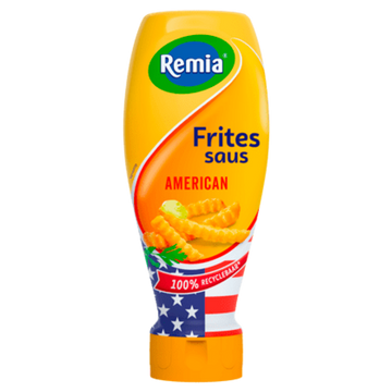 Remia American French Fry Sauce (fritsaus) 500ml - Dutchy's European Market