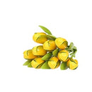 Wooden Tulip (each) - Dutchy's European Market